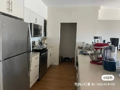2 Bedroom Apartment for Rent Image# 2