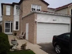 A room Available immediately Eglinton & Creditview Mississauga Image# 1