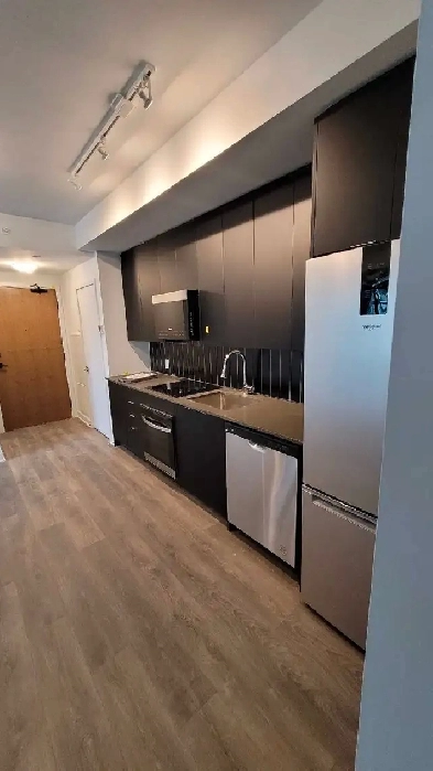 2 bed- 2 bath New Condo- short or long term Image# 1