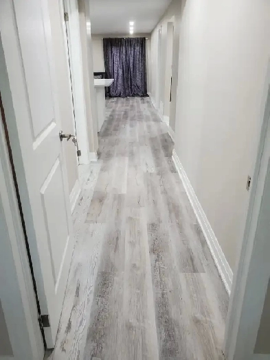basment apartment for rent Image# 9