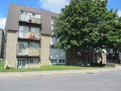 Grand et spacieux 41/2 à 1 495$ à Laval! Image# 1