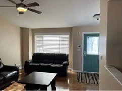 Private room for rent Image# 4