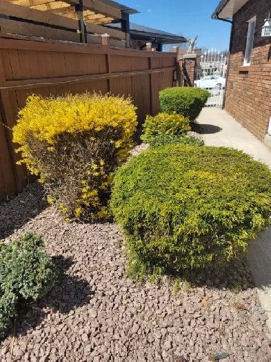 One spot available in sharing in a clean home. Image# 1