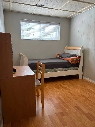 1 basement Room available from 1st of May Image# 1