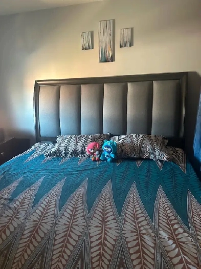 Spacious Basement for Rent Image# 1