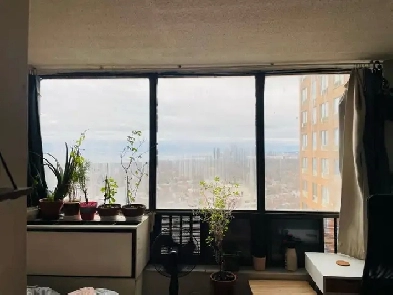 Furnished bachelor available from June 1/short term/ DT- $1250 Image# 1