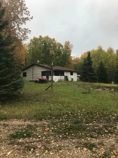 cabin. and land for sale Image# 9