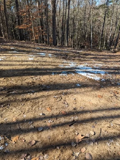 1.5 acre at the lake Image# 1