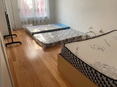 Room mate needed in sharing room Image# 1