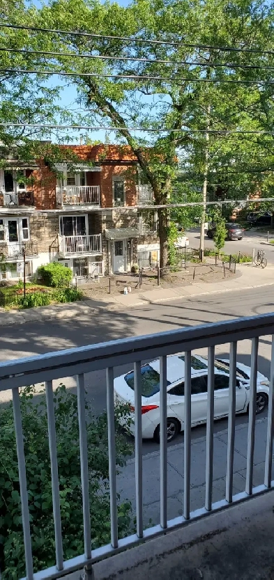 superbe 3 1/2,2 ch fermeés Image# 1