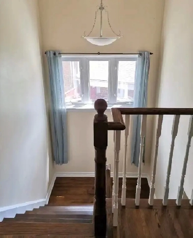 NorthYok Close to YorkUniversity rent to female Image# 1