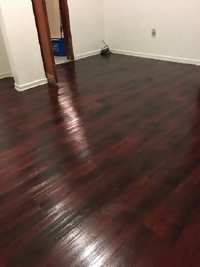 4 mins walk to Lions Park CTrain / Near SAIT & Downtown Image# 1