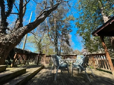 Walkout Basement 3 Rooms - Clean & Quiet - McMaster Broadway Ave Image# 1