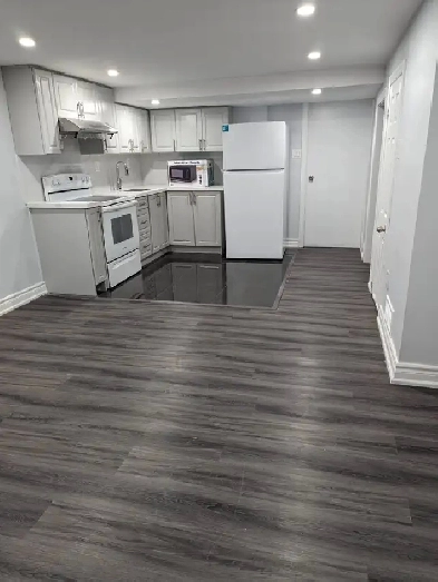 Private Room for Rent in Spacious Basement Image# 1