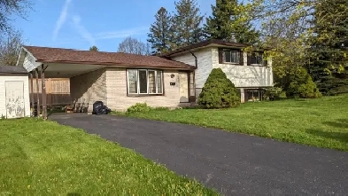 Onsale1!! $600/room  Sublet Available May1-August31 2025 Image# 1