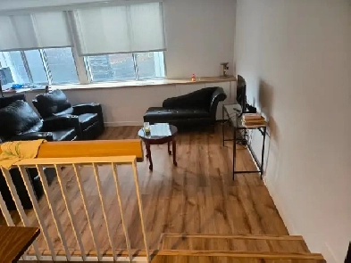 Condo 3 1/2 a louer pour le 1er juillet (Centre Alexis Nihon) Image# 6