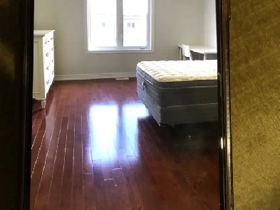 York university village primary room for rent Image# 2