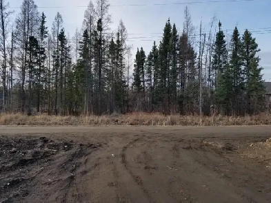 Falcon West Estates - Lot  #15 (Treed Lot) Image# 1