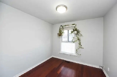 Rooms for rent in Brampton Image# 1