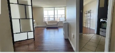 Looking To Share a Luxury Condo In North York Image# 1