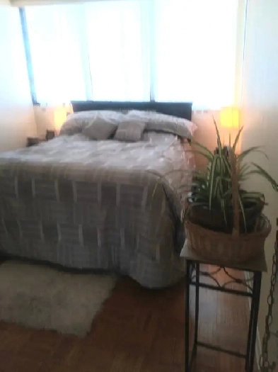 1 bedroom in a condo Image# 1