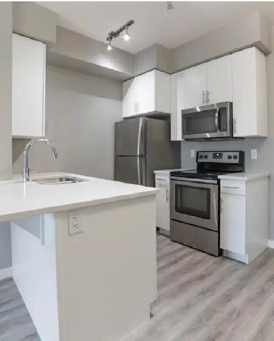 65 Fiorentino Image# 1