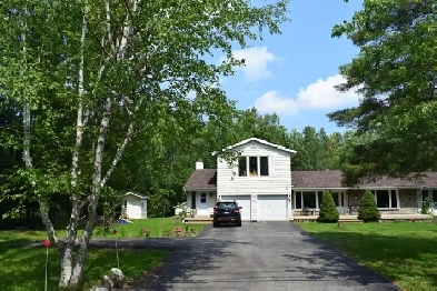 Furnished 2-bd 3-bath unit on large lot in Collingwood for rent Image# 4