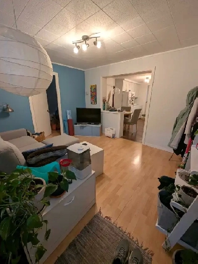 4 1/2 à louer - 5e rue Limoilou Image# 9