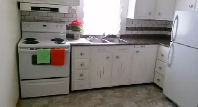 1 bdrm Apt for Rent Image# 5