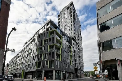 Condo to Rent - Montreal 3 1/2 Image# 5