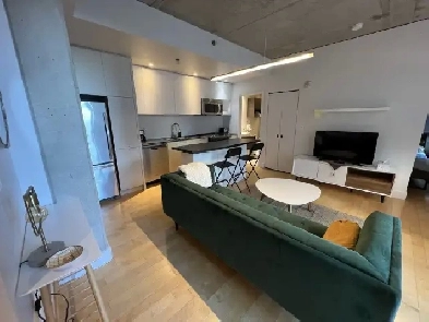 Chic Furnished Condo in Old Montreal Parking available Image# 8