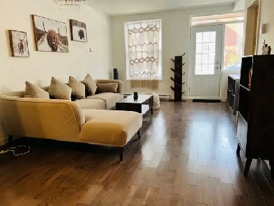 Coup de cœur Plateau Mont-Royal Image# 1