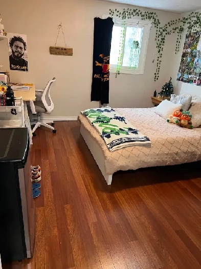 Prime Location Guelph Uni  6 BR  house for Students or professio Image# 2