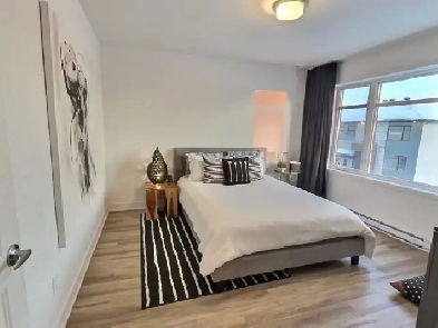 5 1/2 a louer 1995$ après rabais sur 1 er mois Image# 1