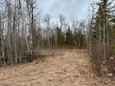 23 Birch Haven, Victoria Beach - Ready to build your dream home! Image# 3