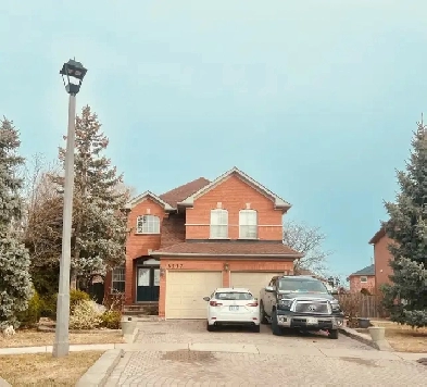 room for rent Image# 1