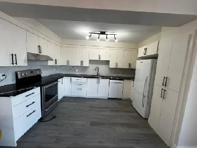 GRAND 5 1/2 À louer Anjou Tout Rénové Image# 1