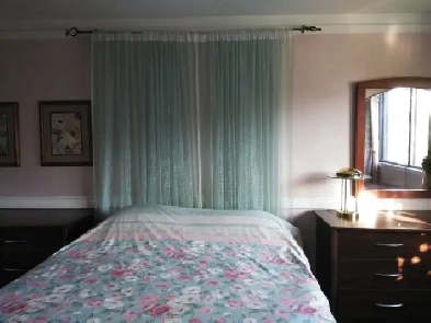 Big, nice room for professional non smoker! Short term! Image# 3