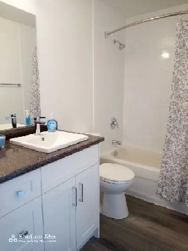 Best Suite in the House!  May 1st - $2055 Image# 1