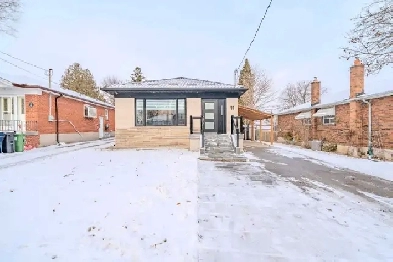 1 shared space available in basement for girl from May 01, 2025 Image# 1