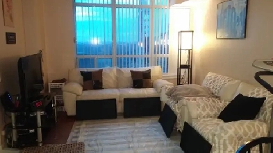 Room avail.  Must love dogs.  Connects to North York Subway Stn Image# 1