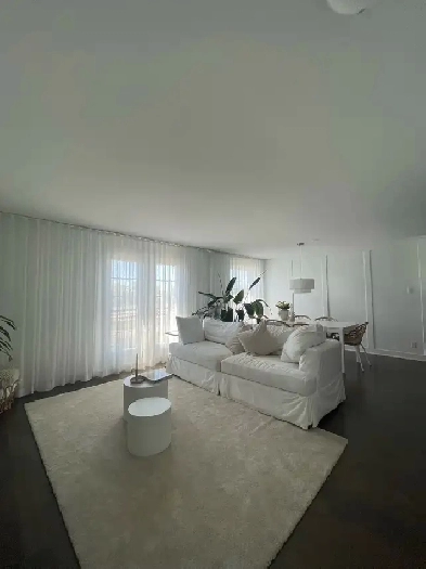 Magnifique condo 41/2 meublé Image# 1