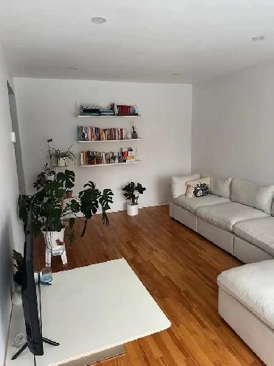 Apartement à louer 5 1 2 Image# 8