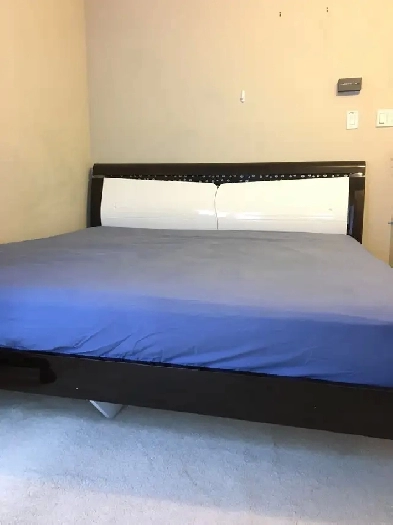 On Main floor furnished bed room for rent $975 at HWY7 & Times Image# 6