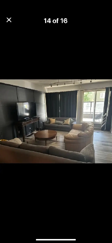 Furnished 2 bed condo at the U of A inc Internet & utilities Image# 1