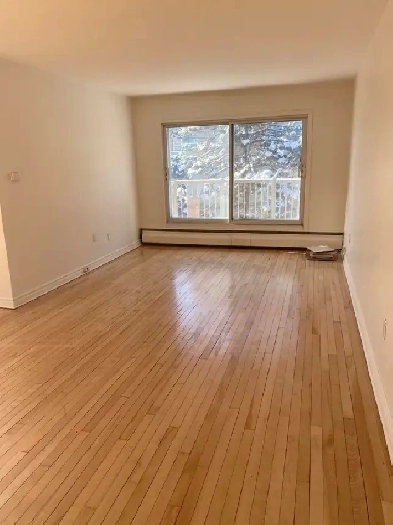 2.5 CLEAN. CLOSE TO WATERFRONT   AIRPORT. HEAT   H/W INCLUDED Image# 1