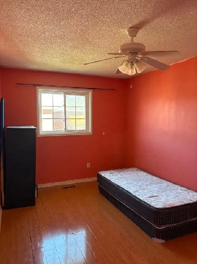 room available IMMEDIATELY for rent in shared home (male preferr Image# 1