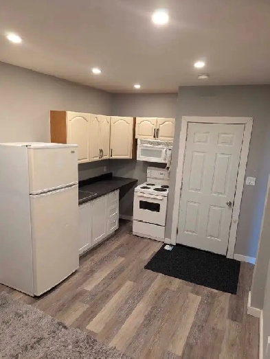 1 BEDROOM APT, $1100  HYDRO Image# 1