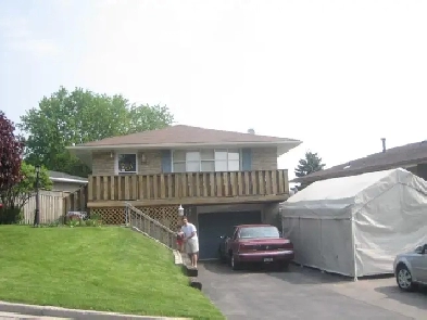 1 bedroom apartment $1500 per month including utilities Image# 1