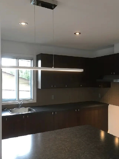 condo 4 1/2 Anjou Image# 4